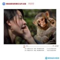 對話
